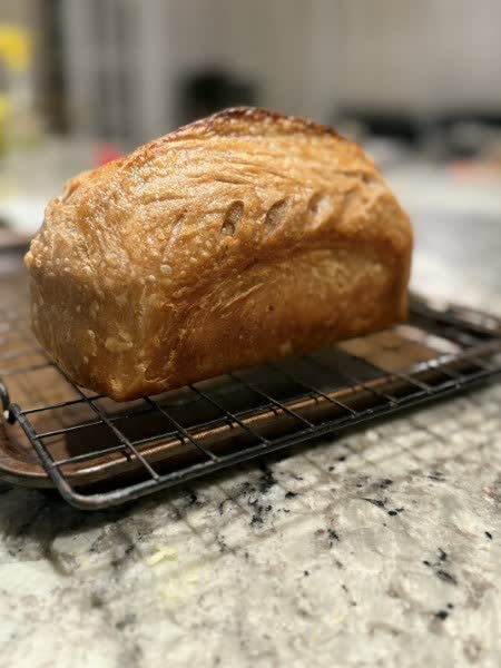 Artisanal sourdough bread with beautiful depth of field